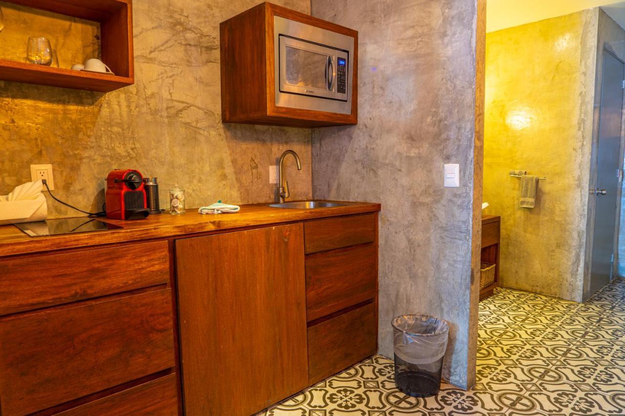 Suites At Sapphire Ocean Club プエルトバラータ エクステリア 写真